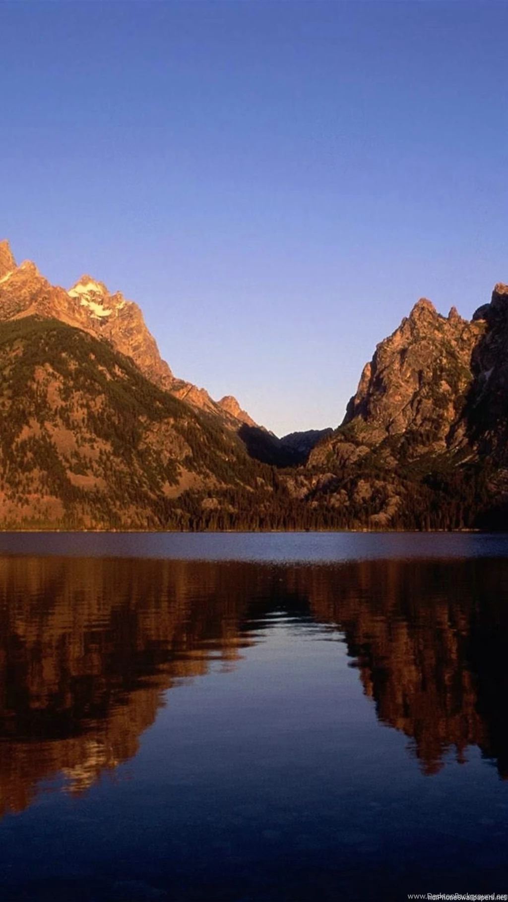 Lake Nature Park iPhone 6 Wallpapers HD And 1080P 6 Plus Wallpapers