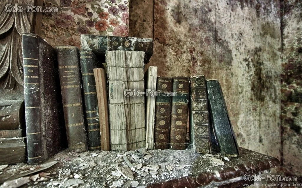 465885_knigi_polka_fon_1680x1050_www.Gde Fon.com.jpg