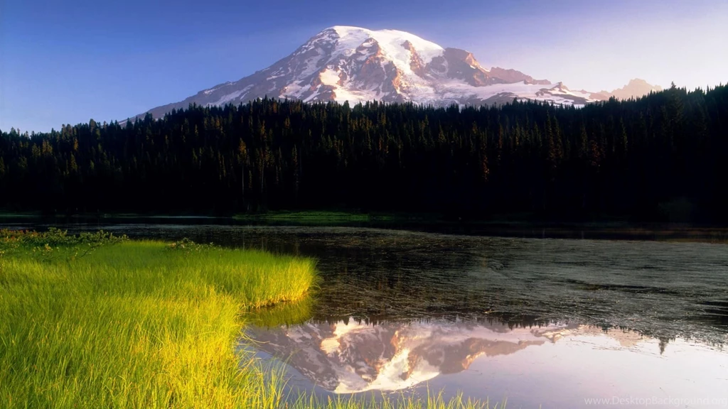 USA, Washington, Mt Rainier NP, Perfect Early Morning Light On The ...