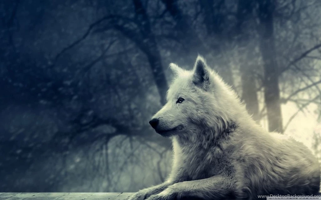 Wolf Wallpapers Phone