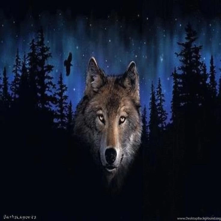 Free Moving Wolf Wallpapers