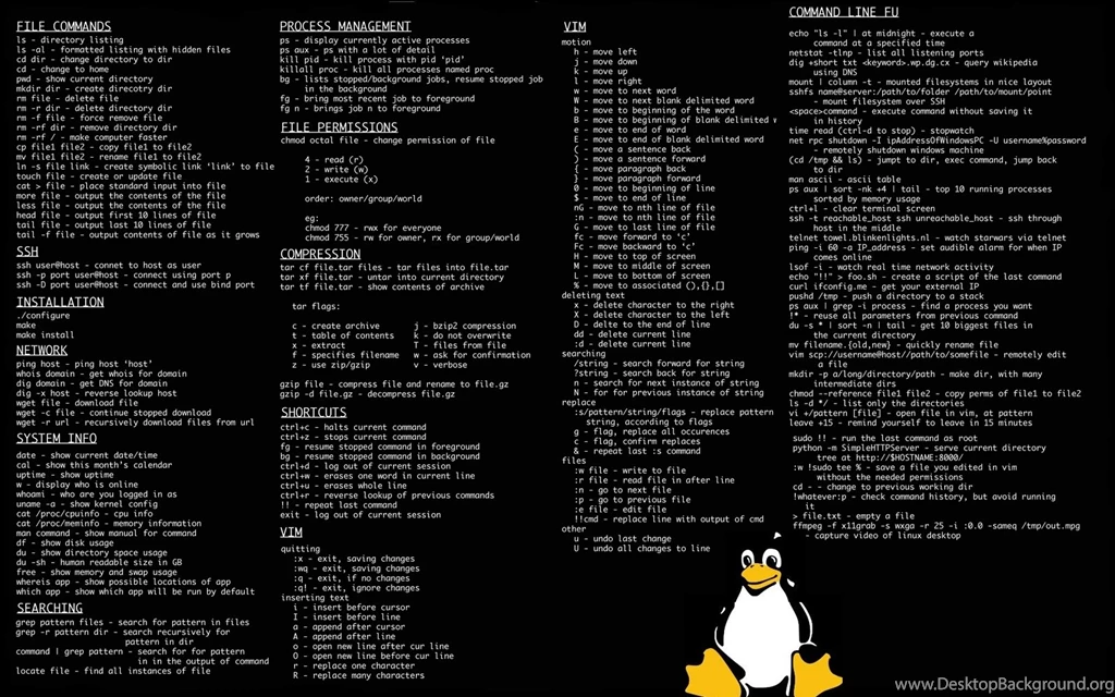 Linux Tux Console Infographics Command