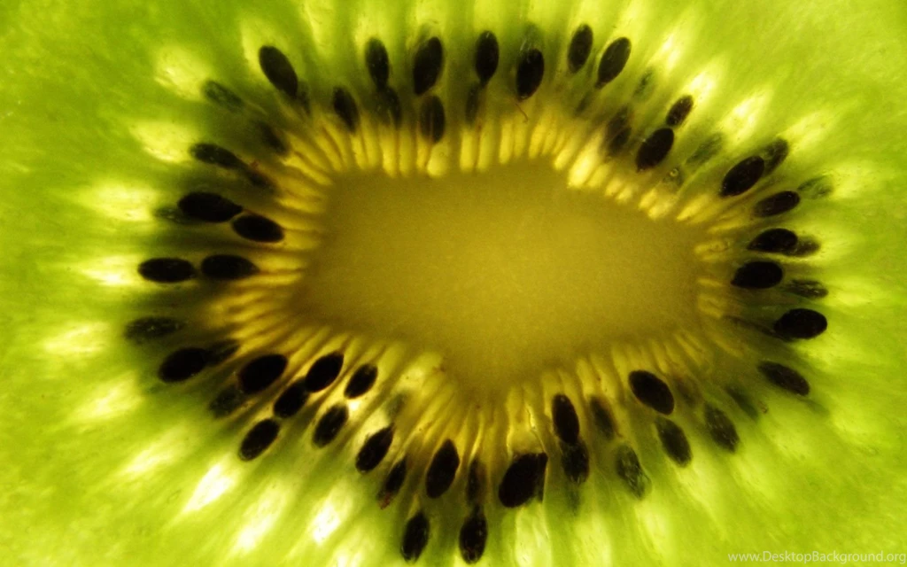 Fruits Kiwi Fruit Macro Green