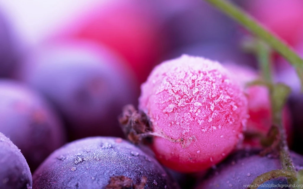 Frost Fruit