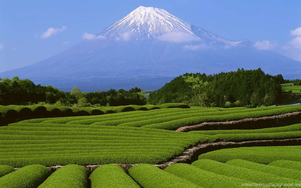 Nature HD Wallpapers For Desktop