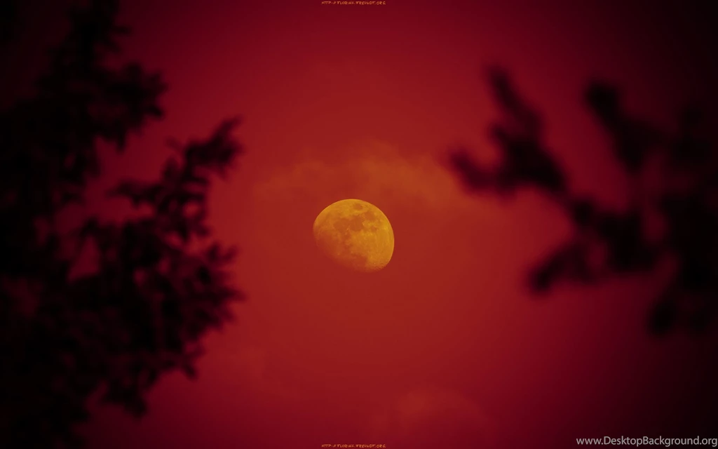 Download Wallpapers Red Moon Rising