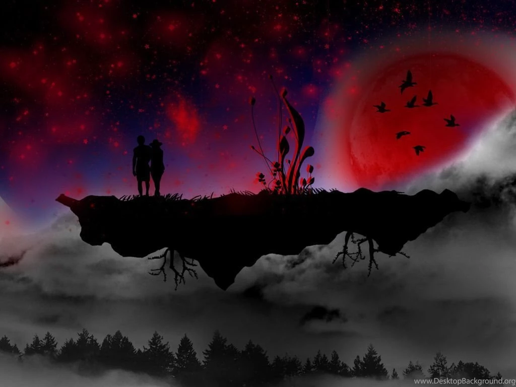 Hd Wallpapers Moon   Wallpapers Animal Hd