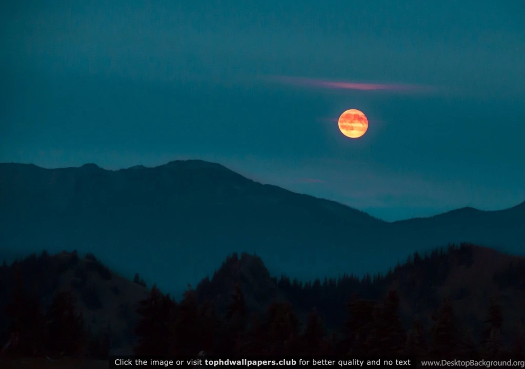 Once In A Red Moon Olympic National Park 4K Or HD Wallpapers For ...