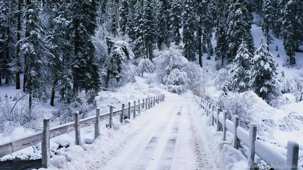 Winter Forest Desktop Wallpapers HD Wallpaper Backgrounds Of ...