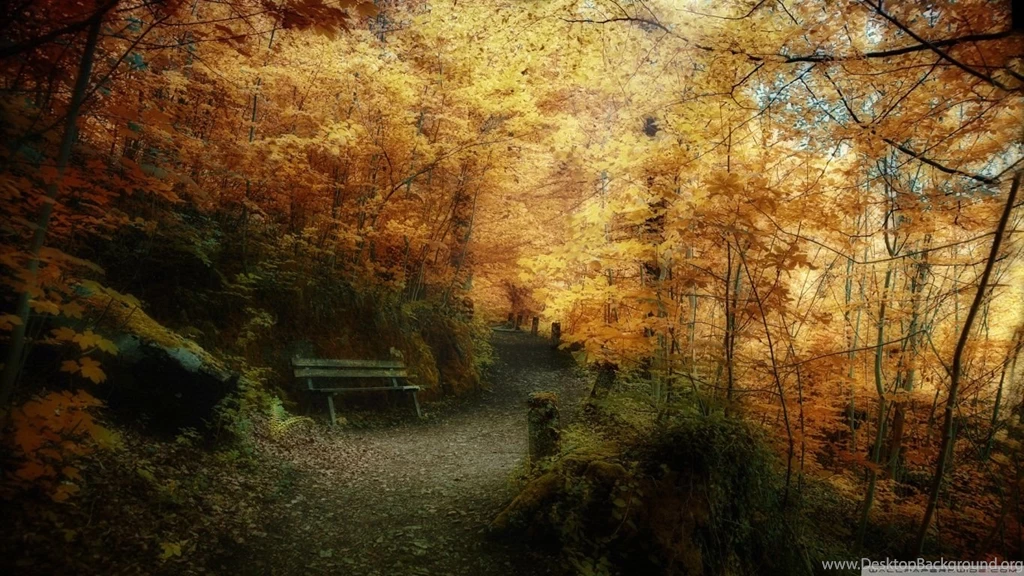 Fall Wallpapers 1366x768