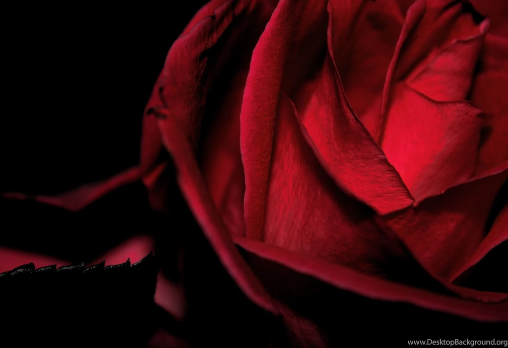 Cool Dark Red Backgrounds   Wall Pedes
