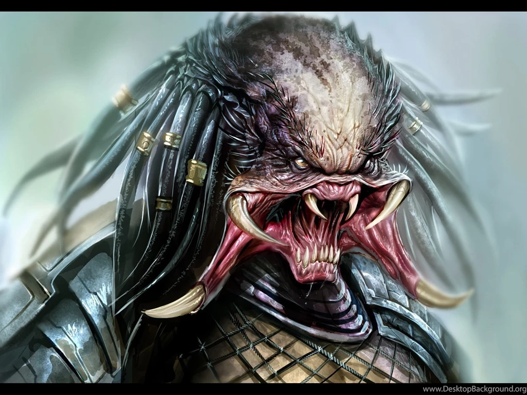 Predator Pred HD Easy On The Eye Wallpapers Free HD Wallpapers ...