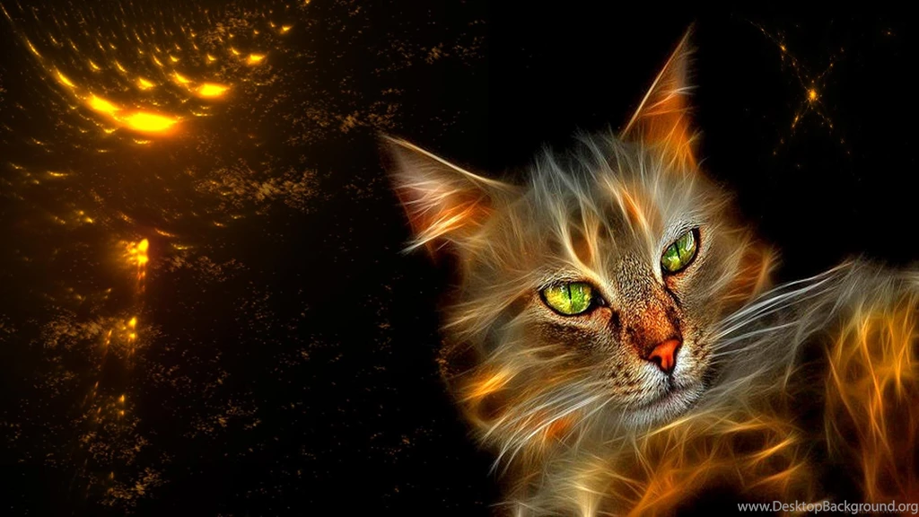 Download Flaming Cat Wallpapers HQ Picture