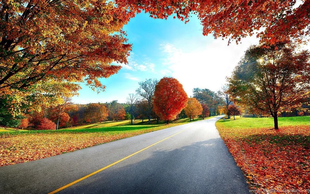 HQ Autumn Wallpapers
