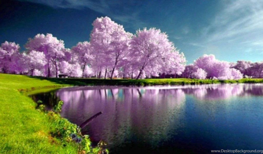 Hd Spring Nature Wallpapers Free