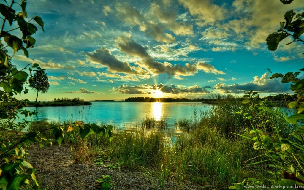 Quiet Lake Sunrise Wallpapers