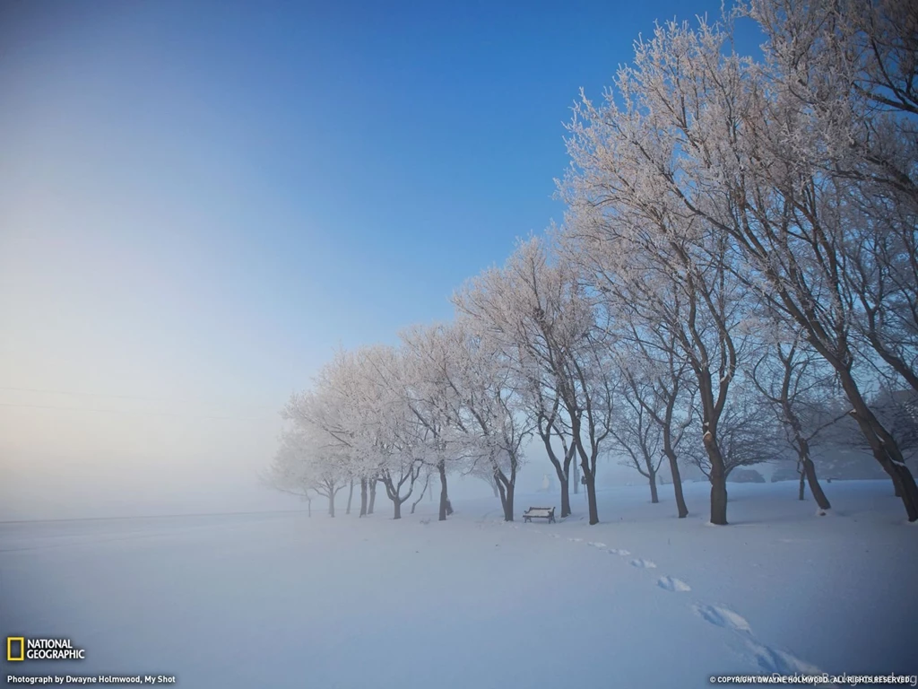 Gallery For Canadian National Geographic Wallpapers