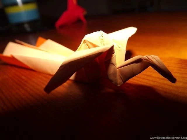 Hashed And Salted: Folding Paper