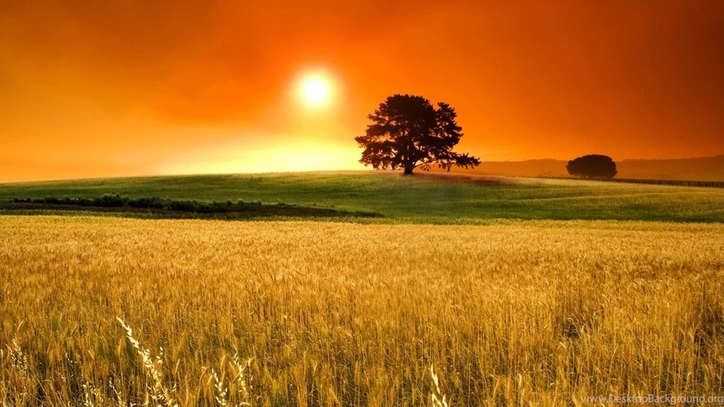 Gallery For   Nice Wallpapers Desktop Backgrounds