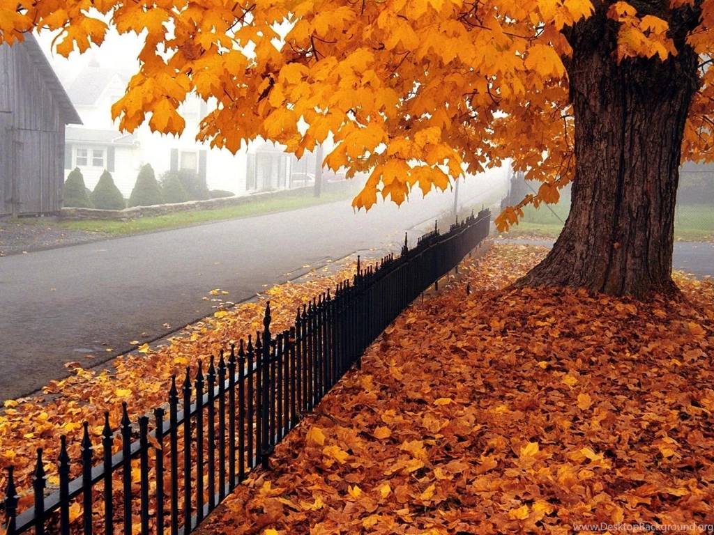 Desktop Wallpapers Hd 3d Full Screen 3 HD Widescreen Wallpapers