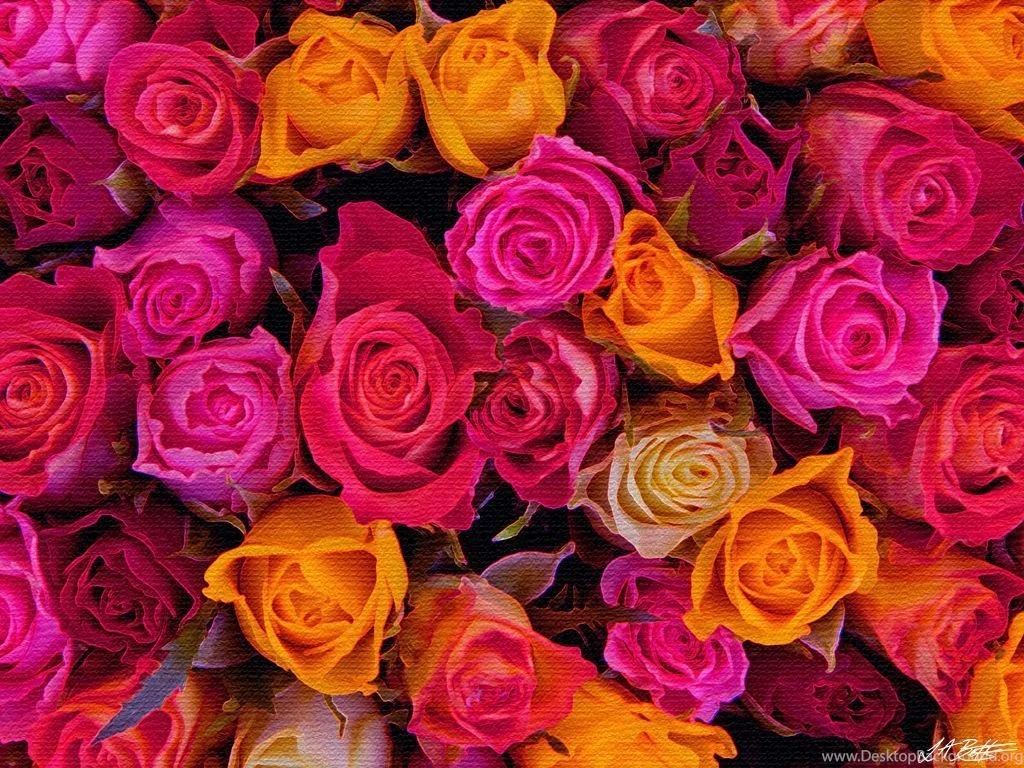 1024x768 Full Screen “Roses” Wallpapers By L A Betts Leone ...
