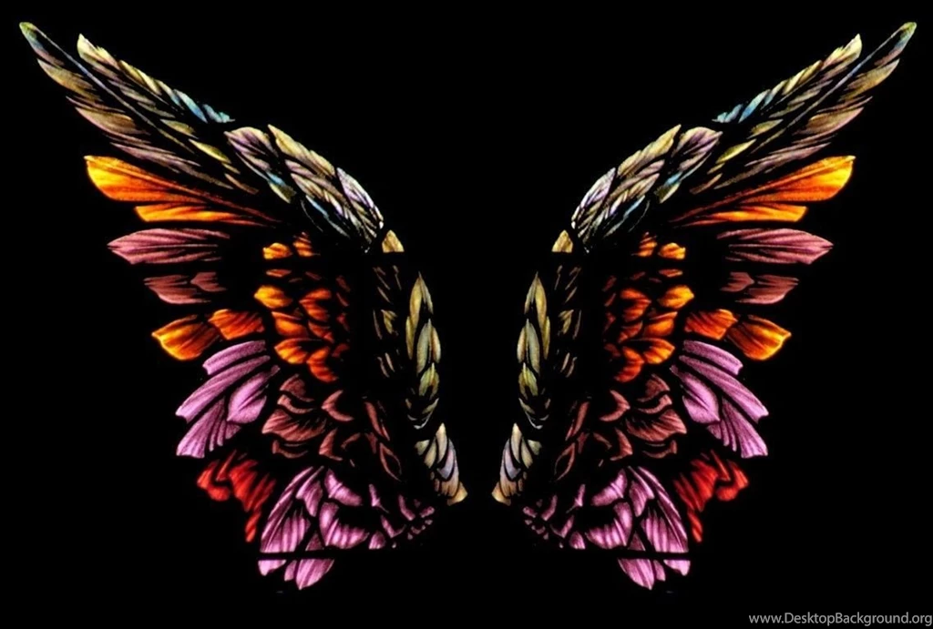 1920x1200 Silhouette Angel Wings Black Backgrounds 1680x1050 ...