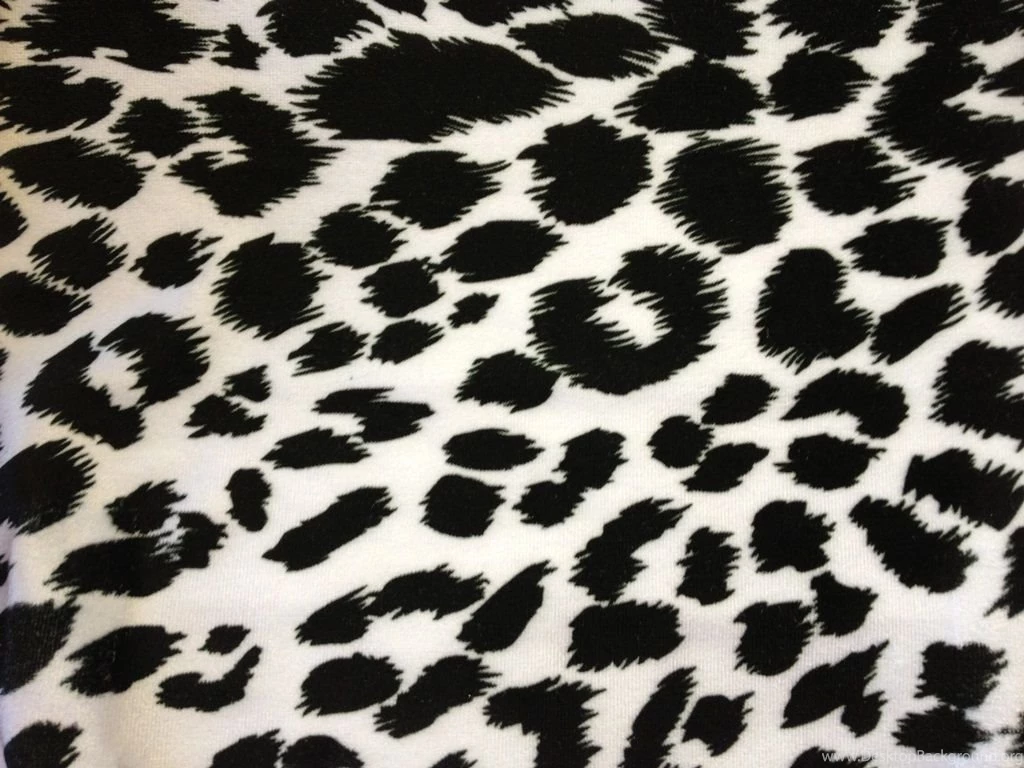 Black And White Leopard Print Wallpapers Wallpapers HD Fine