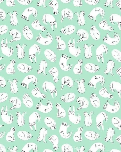 iPhone Wallpapers Cats