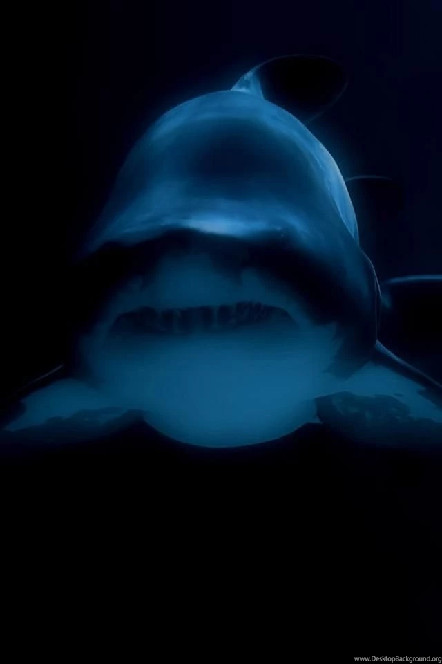 Shark Iphone Wallpapers Hd   ... Shark Pit wrestling Iphone Hd ...