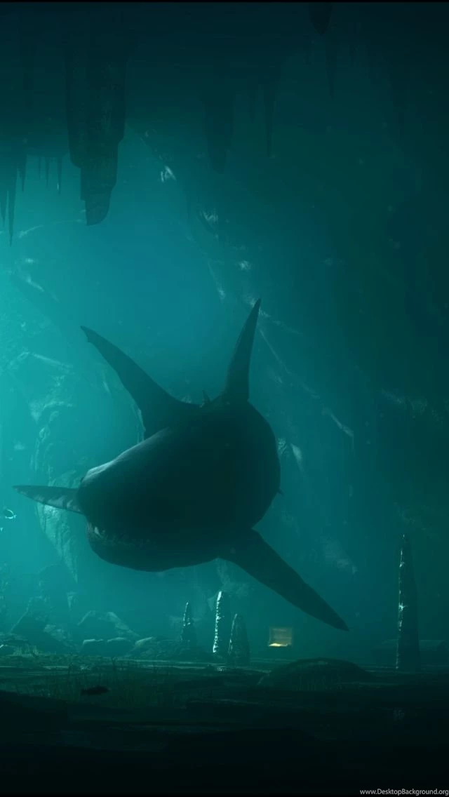 Shark Underwater 640x1136.jpg