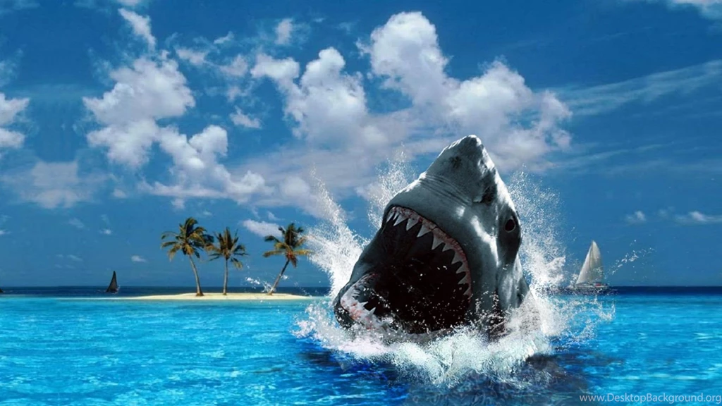 Download Shark Week Games Online Ajilbab Com Portal Wallpapers ...