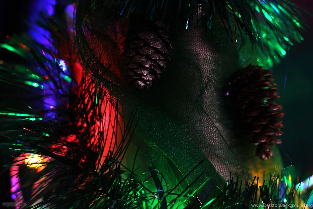 Crazy Coourful HD Wallpapers.jpg