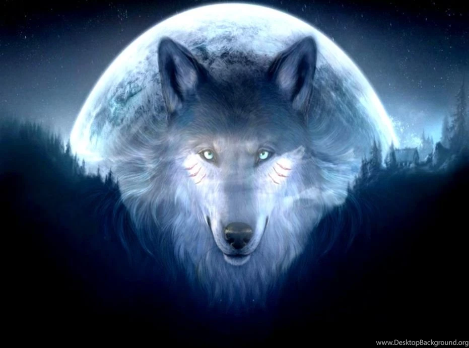3D Wolf Wallpapers Hd