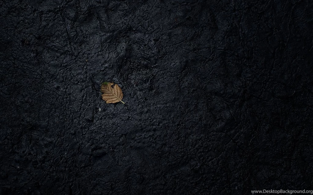 Full HD Wallpapers + Backgrounds, By Sascha Hoffmann, Black, Leafs