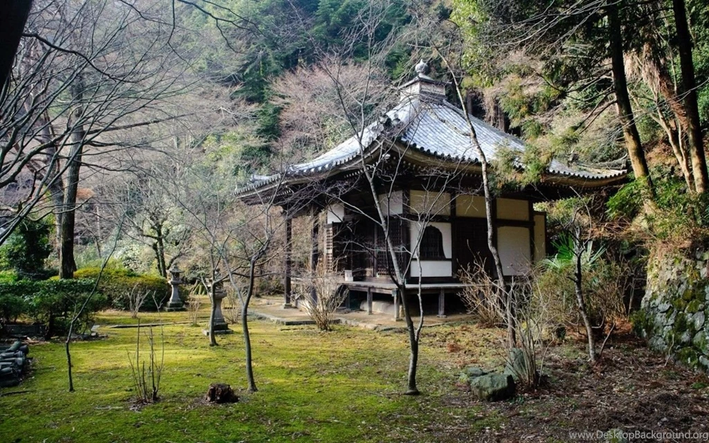 Tea House Japan Japanese Fall Nature Hram Derevya Krysha Other ...