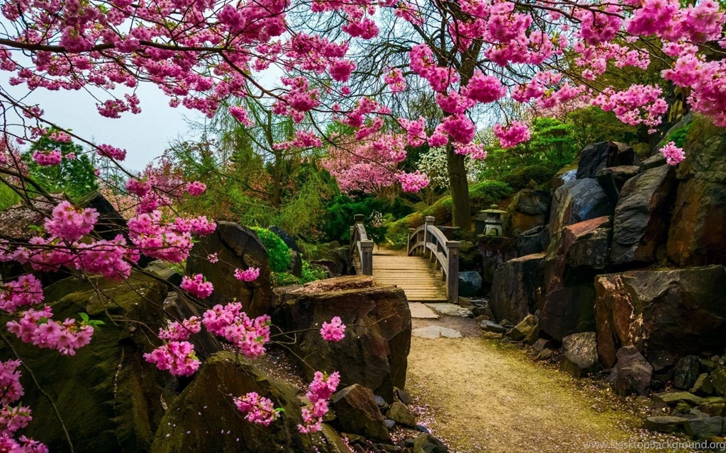 Japan Wallpapers Archives Wallpapers HD Free Wallpapers In All ...