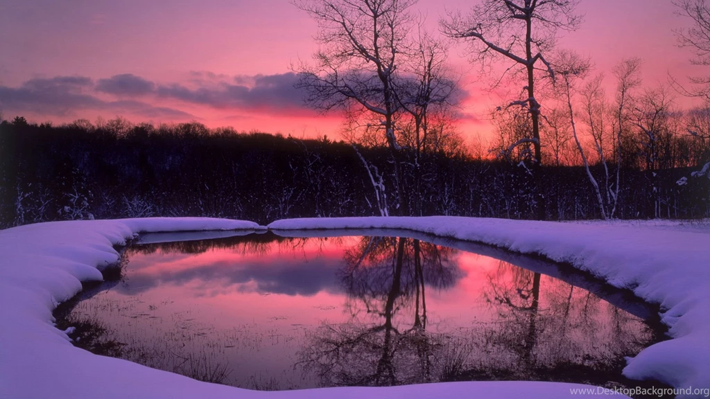 Winter Wallpapers