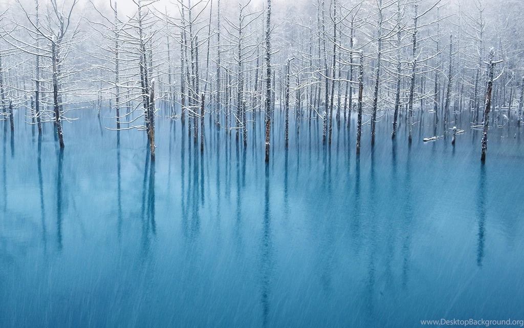 Winter Snow Backgrounds