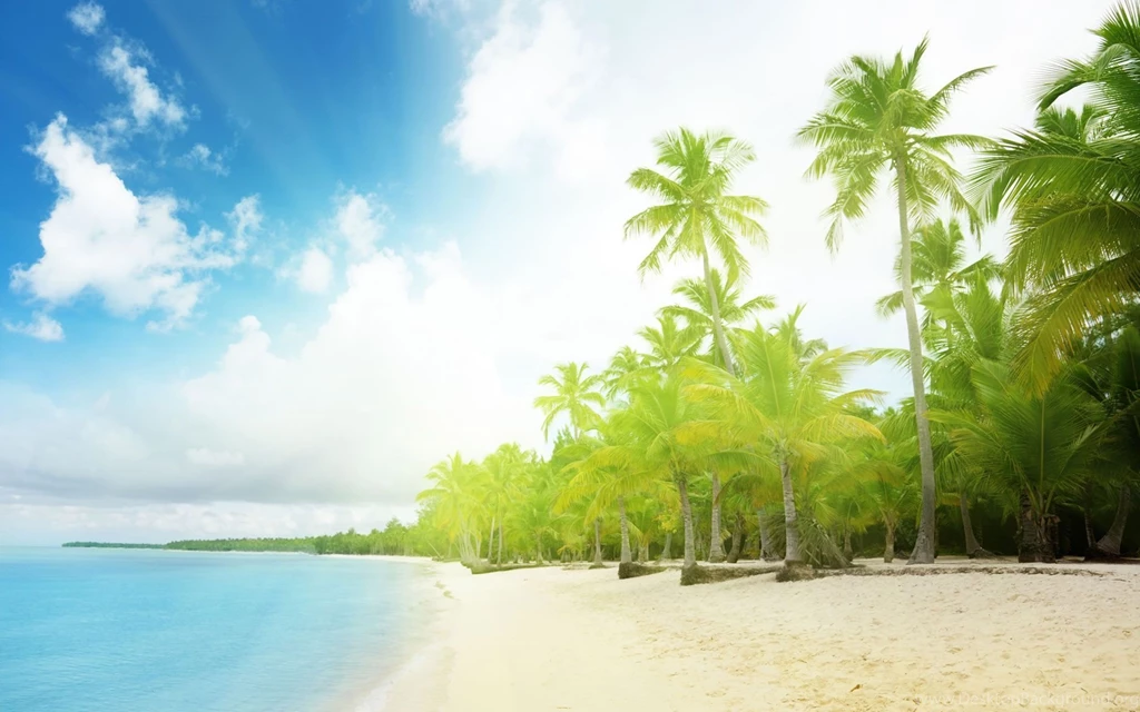 Backgrounds Wallpapers Design
