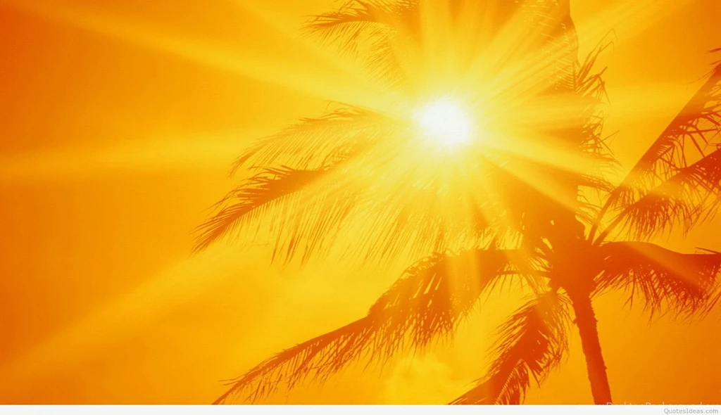 2015 Summer Backgrounds