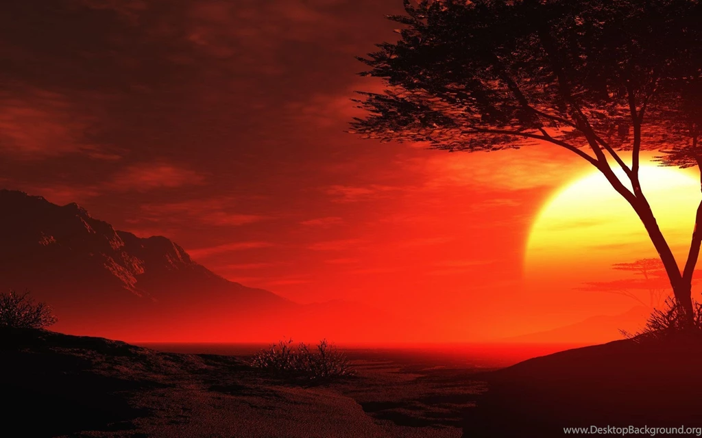 Summer Nights Desktop Wallpaper, Summer Nights Backgrounds, New ...