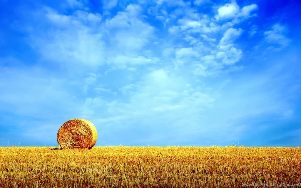 Wallpapers Nature Summer Backgrounds Hd Wallpapers Amagico Hd
