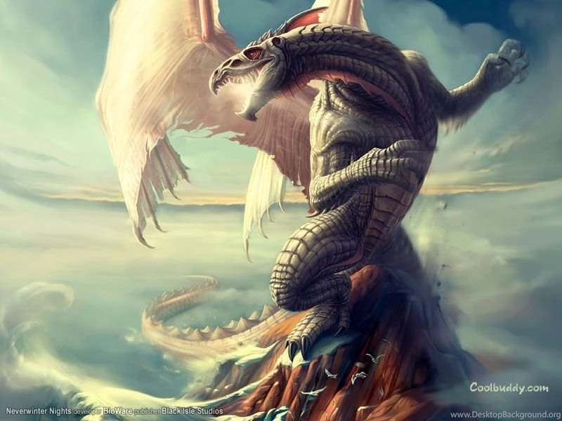 Dragons Wallpapers And Backgrounds
