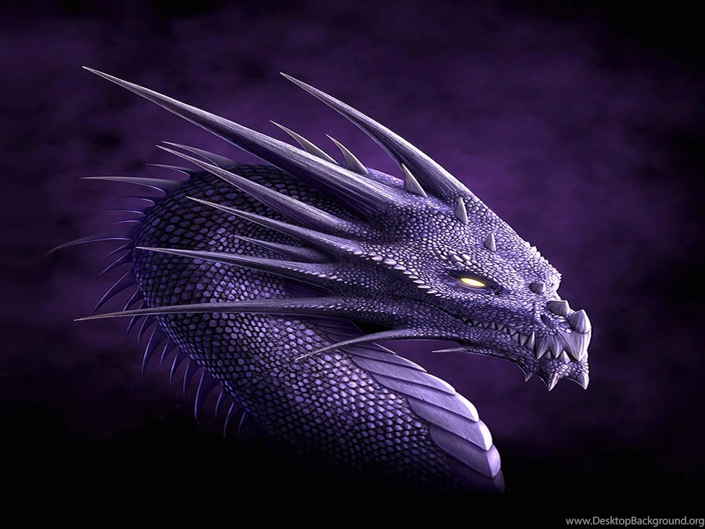 Purple Dragon Wallpaper Backgrounds