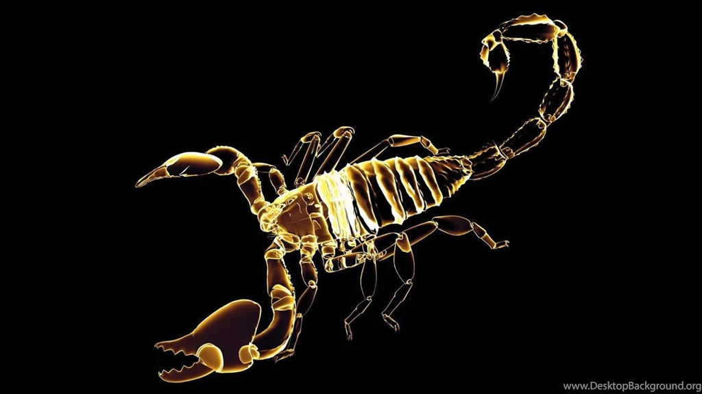 Scorpion 3d Widescreen Desktop Allpapers