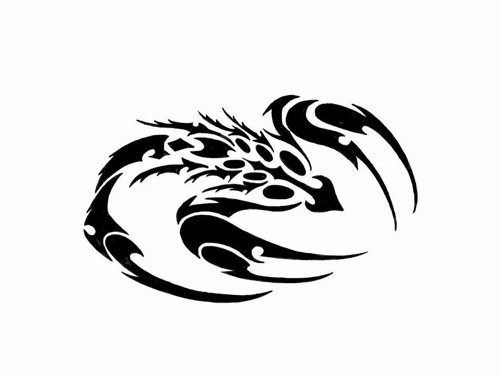 Shrinked scorpion tattoo.jpg