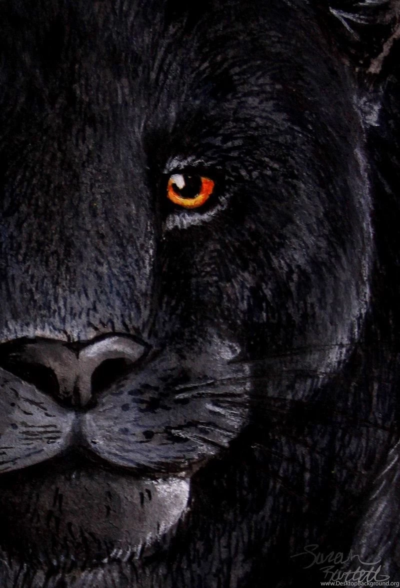 Black Jaguar Eyes By NaturePunk On DeviantArt