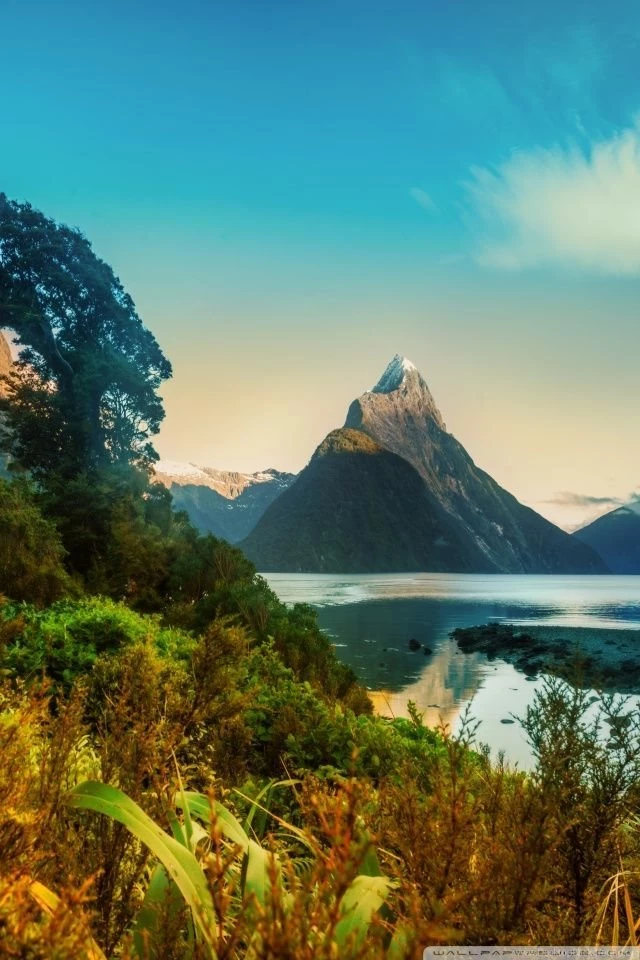 Hiking Around Milford HD Desktop Wallpapers : Widescreen : High ...