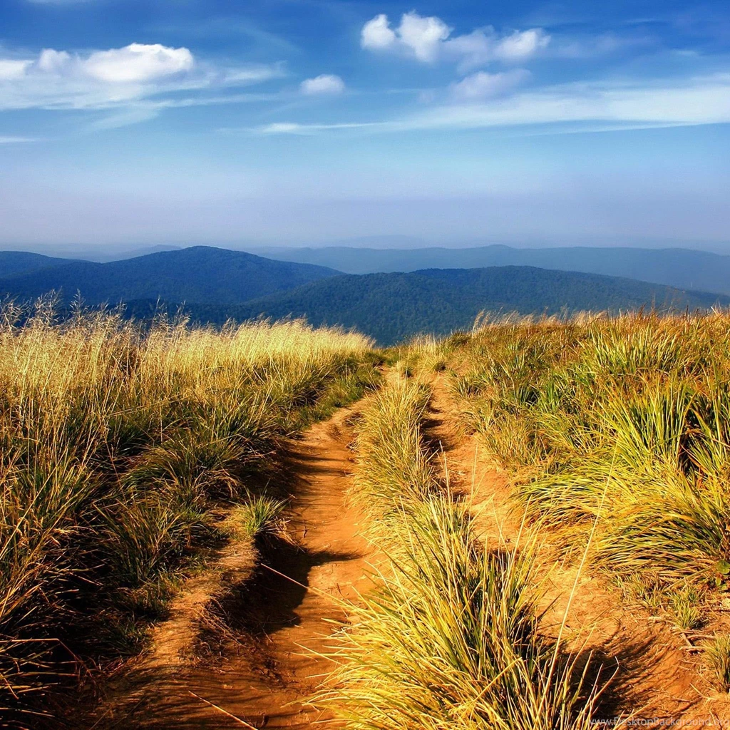 Hiking Path Landscape / HD iPad Wallpapers