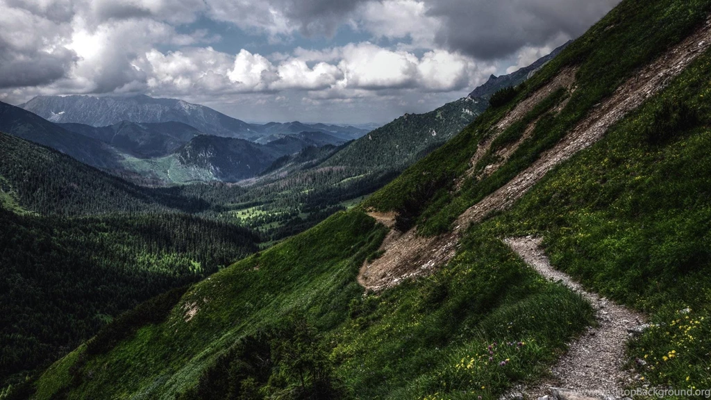 HIKING TRAIL WALLPAPER (